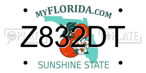 Z832DT Florida License Plate