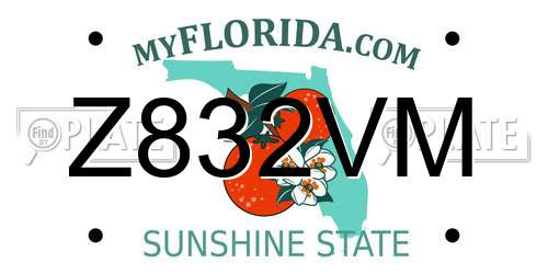 Z832VM Florida License Plate