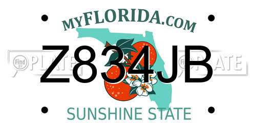 Z834JB Florida License Plate
