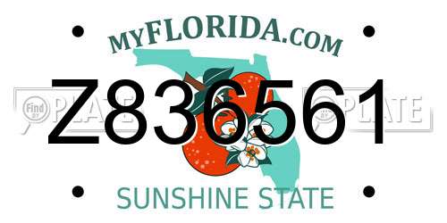 Z836561 Florida License Plate
