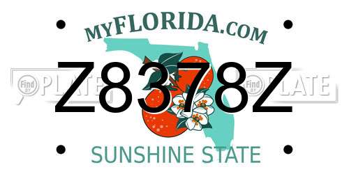 Z8378Z Florida License Plate