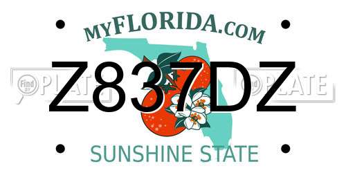 Z837DZ Florida License Plate