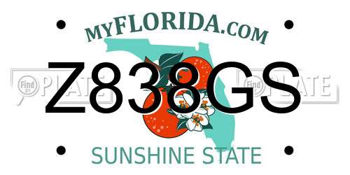 Z838GS Florida License Plate