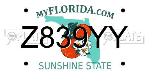 Z839YY Florida License Plate