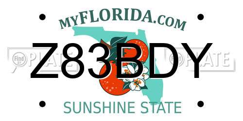 Z83BDY Florida License Plate