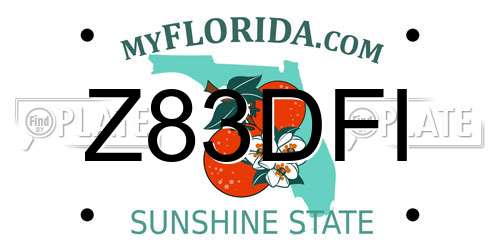 Z83DFI Florida License Plate