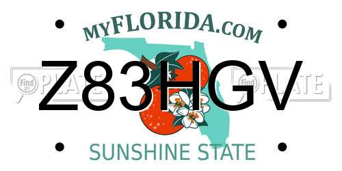 Z83HGV Florida License Plate