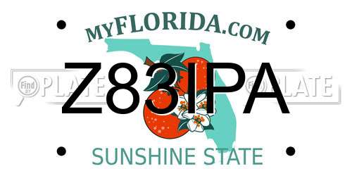 Z83IPA Florida License Plate
