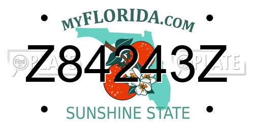 Z84243Z Florida License Plate