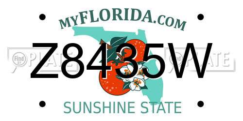 Z8435W Florida License Plate