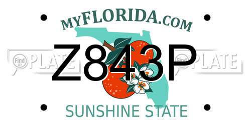 Z843P Florida License Plate