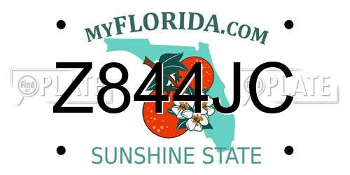 Z844JC Florida License Plate
