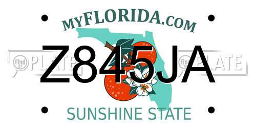 Z845JA Florida License Plate