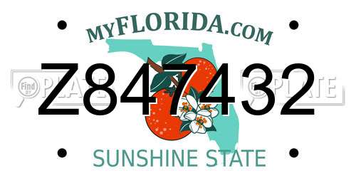 Z847432 Florida License Plate