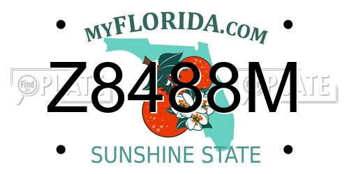 Z8488M Florida License Plate