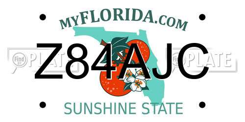 Z84AJC Florida License Plate