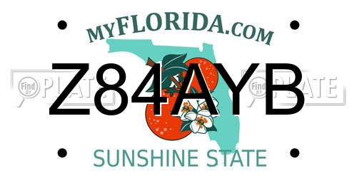 Z84AYB Florida License Plate