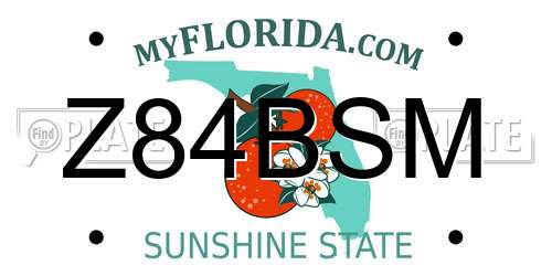 Z84BSM Florida License Plate