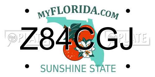 Z84CGJ Florida License Plate