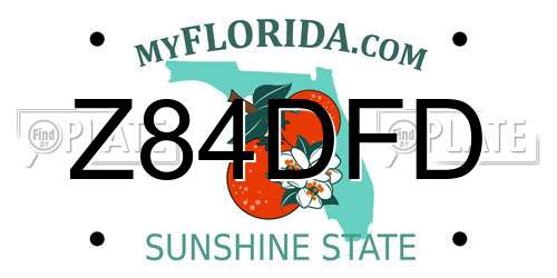Z84DFD Florida License Plate