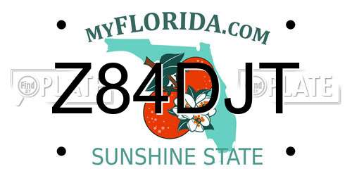 Z84DJT Florida License Plate