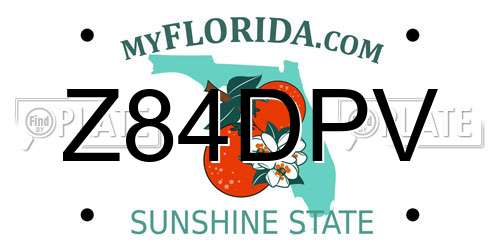 Z84DPV Florida License Plate