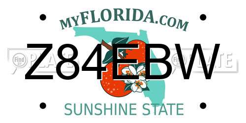 Z84EBW Florida License Plate