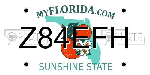 Z84EFH Florida License Plate
