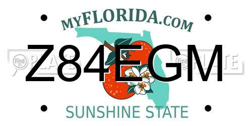 Z84EGM Florida License Plate