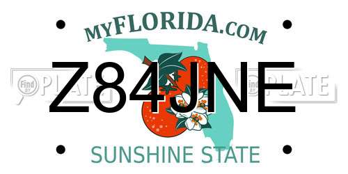 Z84JNE Florida License Plate