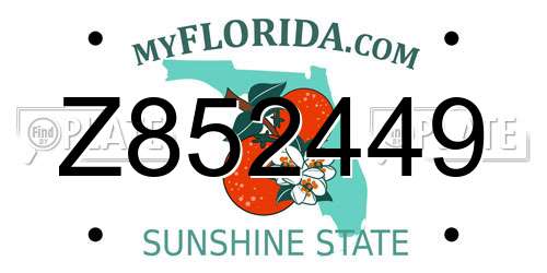 Z852449 Florida License Plate