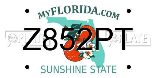 Z852PT Florida License Plate