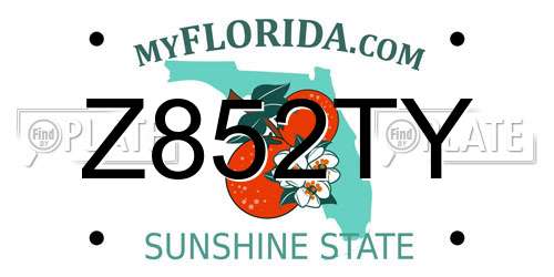 Z852TY Florida License Plate