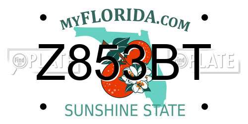 Z853BT Florida License Plate