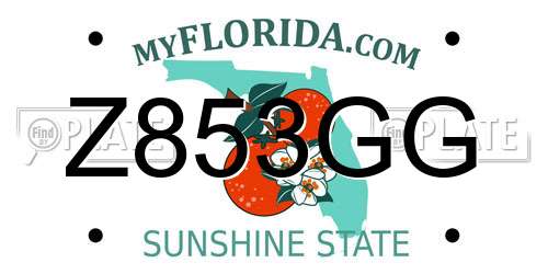 Z853GG Florida License Plate