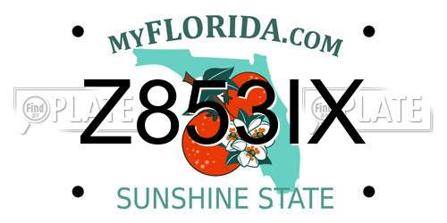 Z853IX Florida License Plate
