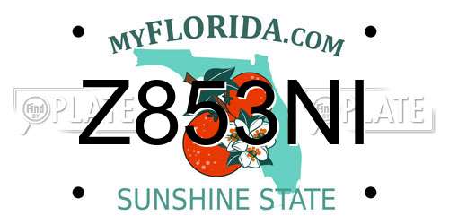 Z853NI Florida License Plate