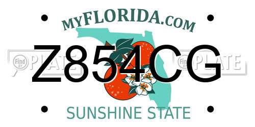 Z854CG Florida License Plate