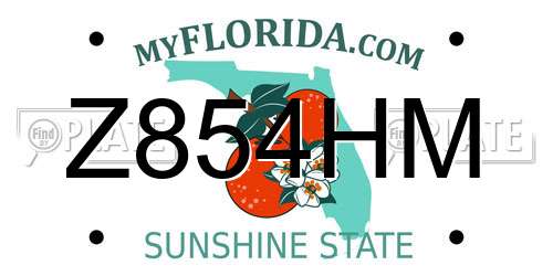 Z854HM Florida License Plate