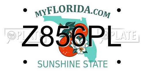 Z856PL Florida License Plate