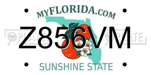 Z856VM Florida License Plate
