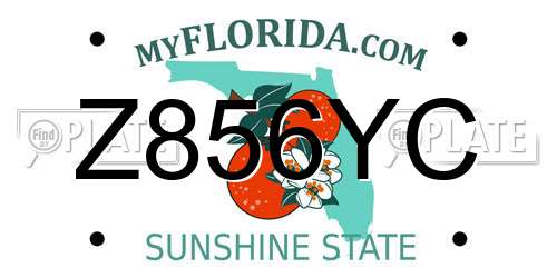 Z856YC Florida License Plate