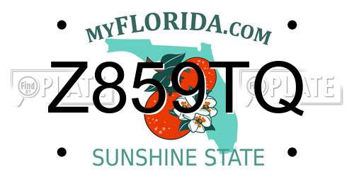 Z859TQ Florida License Plate