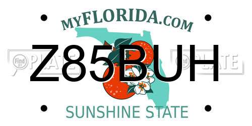 Z85BUH Florida License Plate