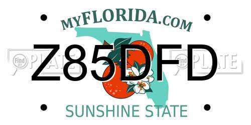 Z85DFD Florida License Plate