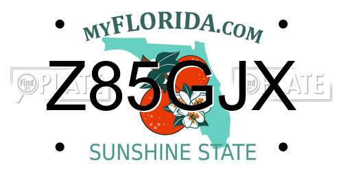 Z85GJX Florida License Plate