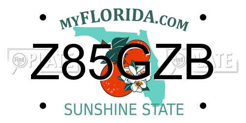 Z85GZB Florida License Plate