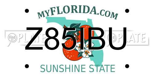 Z85IBU Florida License Plate