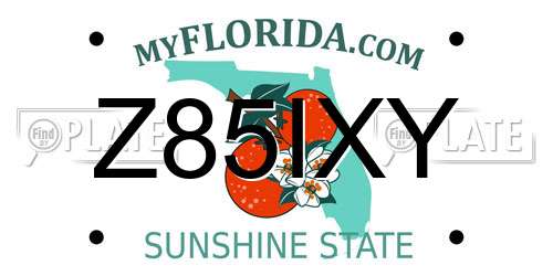Z85IXY Florida License Plate
