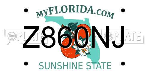 Z860NJ Florida License Plate